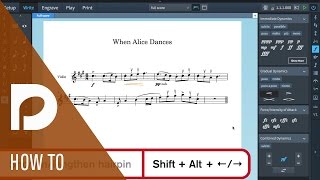 How to Input Dynamics in Dorico  Write Mode in Dorico [upl. by Fassold]