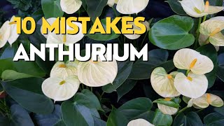 10 MISTAKES Growing Anthuriums  Flamingo Flower Care Tips [upl. by Anma]