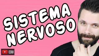 SISTEMA NERVOSO  FISIOLOGIA  Aula  Biologia com Samuel Cunha [upl. by Dotti]