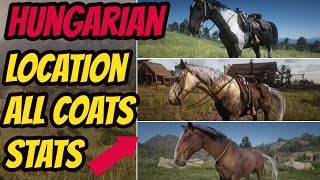 Red Dead Redemption 2 Hungarian Halfbred LOCATION amp ALL COATS amp STATS GOOD HORSE GUIDE [upl. by Aihceyt]