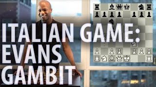 Chess openings  Italian Game Evans Gambit [upl. by Ysus]