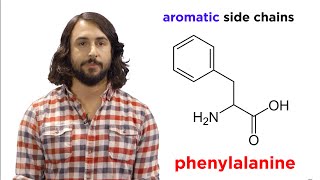 Amino Acids [upl. by Isa]