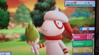 Pokemon BDSP How To Get Smeargle [upl. by Eivod]