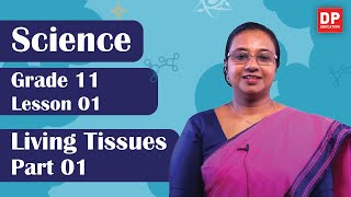 Lesson 01  Living Tissues Part 01  Grade 11 Science in English [upl. by Neel]