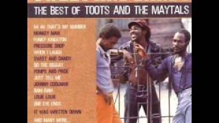 The Toots amp The Maytals  I Need Your Love [upl. by Paver]