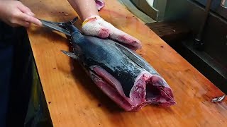 Bonito Fish Filleting Sashimi Making [upl. by Medrek86]