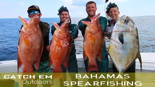 Bahamas Spearfishing and Shark Attack 2016 HD [upl. by Line]