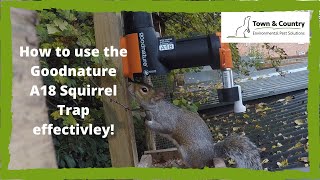 Goodnature A18 Squirrel Trap [upl. by Idurt]