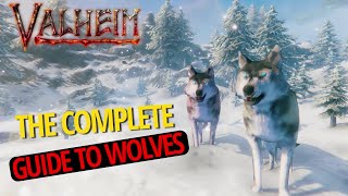 Complete Guide To Wolves Damage Breeding Aggro Range  Valheim [upl. by Ardnuahs517]