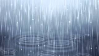 Nature Sounds Rain Sounds One Hour for Sleeping Sleep Aid for Everybody [upl. by Ihsorih]