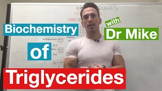 Fatty Acids Glycerol and Lipids  Biochemistry [upl. by Charpentier]