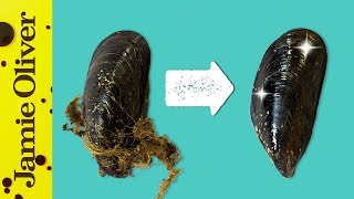 How To Prepare Mussels  1 Minute Tips  Bart’s Fish Tales [upl. by Esir662]