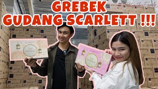 GREBEK GUDANG SCARLETT   FELITOGETHER FAMILY [upl. by Verne]