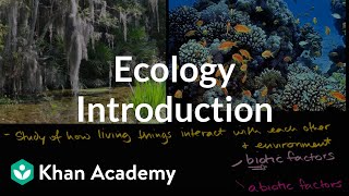 Ecology introduction  Ecology  Khan Academy [upl. by Hudis]