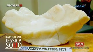 Kapuso Mo Jessica Soho The giant pearl of Puerto Princesa [upl. by Ynohtnanhoj]