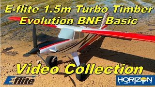 Eflite Turbo Timber Evolution Unboxing Assembly Flights and Review [upl. by Aivatra]