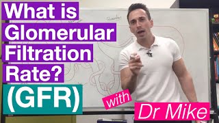 Glomerular Filtration Rate GFR  Renal System [upl. by Suolekcin243]