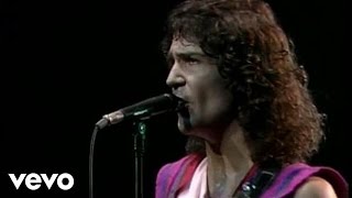 Billy Squier  Everybody Wants You Live [upl. by Cher]