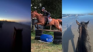 equestrian tiktok compilation 💓 [upl. by Tryck]