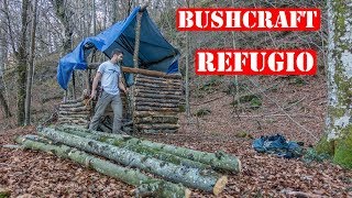 Construyendo Una Cabaña De Troncos En El Bosque  Refugio Bushcraft [upl. by Aamsa]