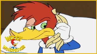 Woody Woodpecker Show  Bavariannoying  1 Hour Compilation  Videos For Kids [upl. by Cletis]