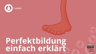 Perfektbildung einfach erklärt – Latein  Duden Learnattack [upl. by Critta]