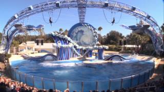 Blue Horizons  The Dolphins Show at Sea World Complete [upl. by Epilif]