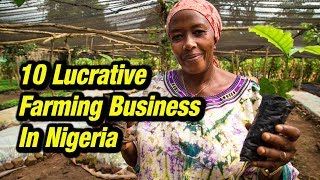 10 Lucrative Farming Business in Nigeria [upl. by Leahcar]