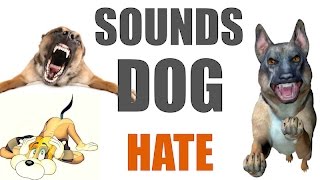 5 Sounds Dogs Hate All Time  HQ [upl. by Issor570]