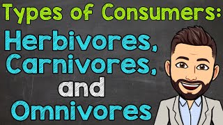 Types of Consumers  Herbivores Carnivores and Omnivores [upl. by Nosyla]