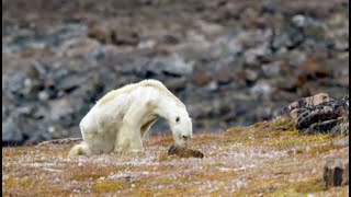 El cambio climático llega para quedarse [upl. by Clova]