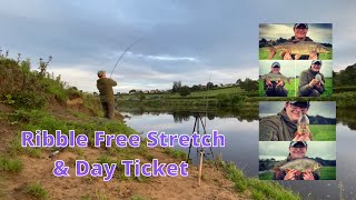 Barbel Fishing River Ribble Free Stretch and Day Ticket [upl. by Ecylahs]