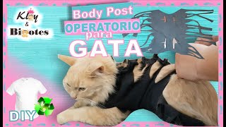 Body POST Operatorio para Gata Esterilizada👕♻️ Ropa para Gata [upl. by Siroved]