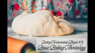 BASIC BAKING TERMINOLOGY  folding proofing ferment scoring and more [upl. by Bengt]