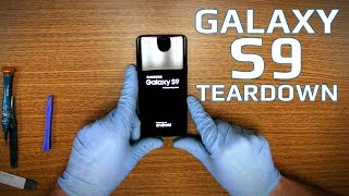 Samsung Galaxy S9 Teardown  Battery Repair  Screen Replacement [upl. by Uticas]