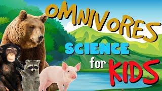 What is an Omnivore  Science for Kids [upl. by Attenad]