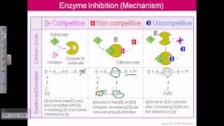 Enzyme inhibition [upl. by Anailil]