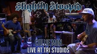 Collie Man  Slightly Stoopid Live at Robertos TRI Studios [upl. by Lauhsoj]