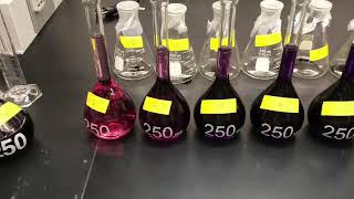 Adsorption Experiment Lab 5 [upl. by Mcilroy]