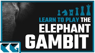 Chess Openings Learn to Play the Elephant Gambit [upl. by Andres]