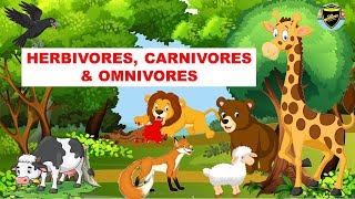 Herbivores  Carnivores  Omnivores  Types of Animals [upl. by Swetiana]