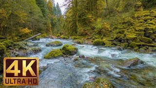 Beautiful Nature Video in 4K Ultra HD  Autumn River Sounds  5 Hours Long [upl. by Nyrem]