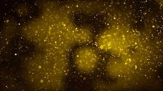 Gold Glitter Particles New Years Eve background [upl. by Kirschner]