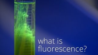 What is Fluorescence [upl. by Layod]