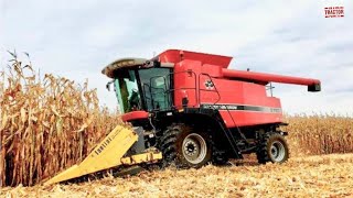 MASSEY FERGUSON 9790 Combine Harvesting Corn [upl. by Boor]