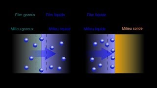 Absorption vs Adsorption 【4K】 [upl. by Madonia]