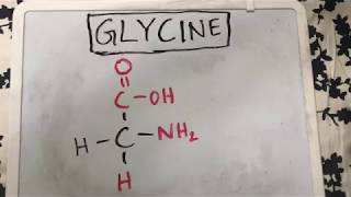 Glycine Structure  Amino Acid Basics [upl. by Eimorej]