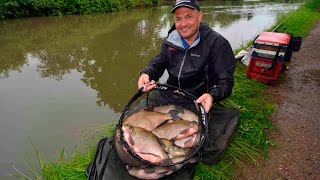 Canal Bream Fishing [upl. by Eiramnwad]