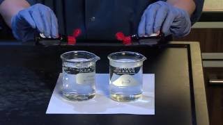 Diffusion and Osmosis  For Teachers [upl. by Brandise]