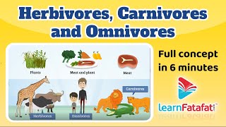 Herbivores Carnivores and Omnivores  Class 6 chapter 1 Food Where Does it Comes From Learnfatafat [upl. by Luzader]